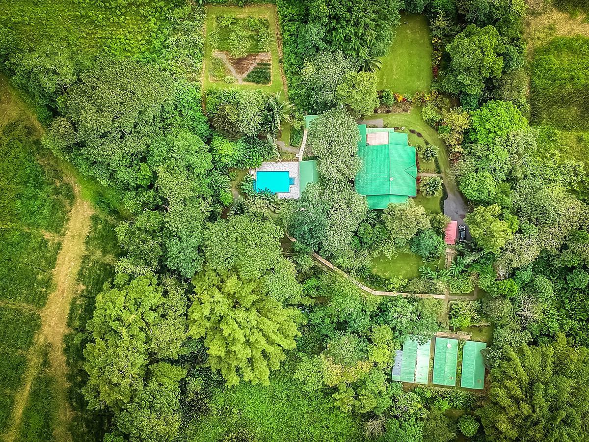 Tropical Paradise Bungalows Pital  Exterior foto